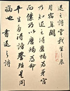 丰都书法家范红作品展